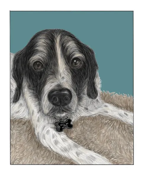 Commemorate Dog Portrait